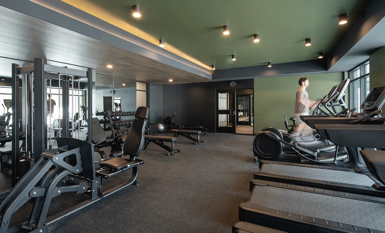 Havre du Cerf - Gym